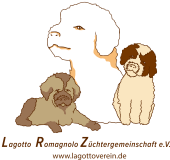 HP_schriftzug